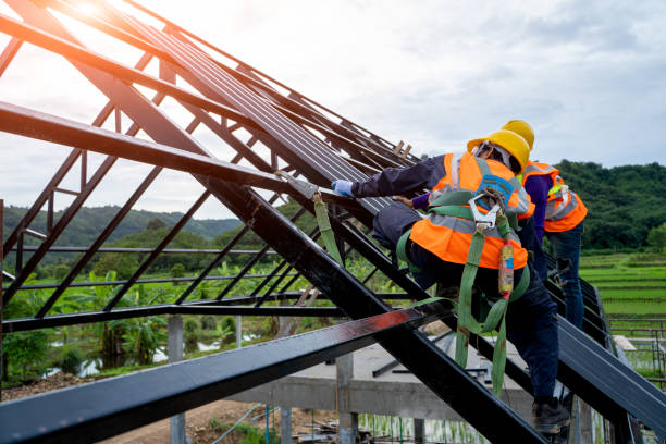 Best Metal Roofing Contractor  in Westwood Lakes, FL
