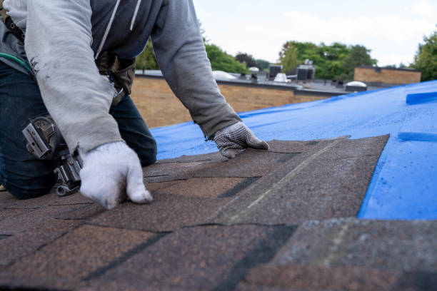 Roof Waterproofing Services in Westwood Lakes, FL